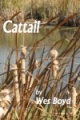 Thumbnail for version as of 10:43, 3 May 2012